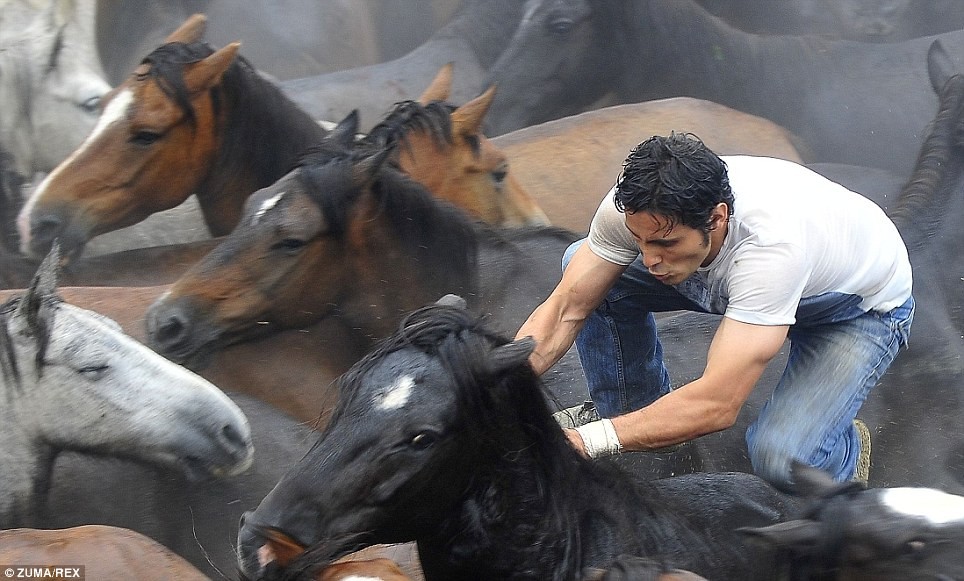 Адууны дэл засах испани наадам